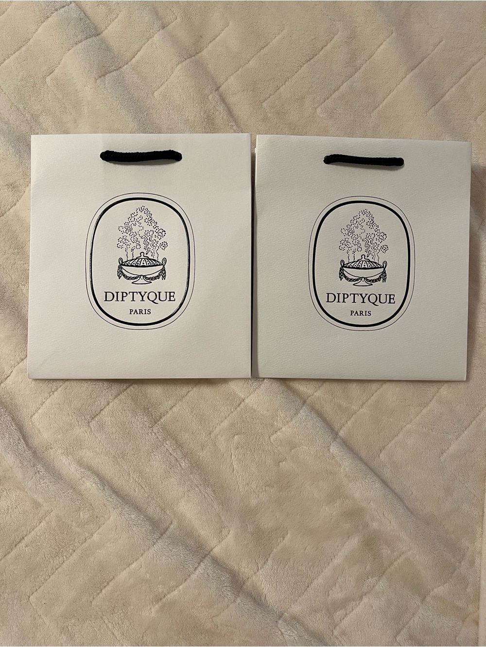 Diptyque Shopping Bags x 2